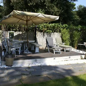 Domusauroom, Relax Nel Cuore Della Versilia - Pet Friendly Appartamento